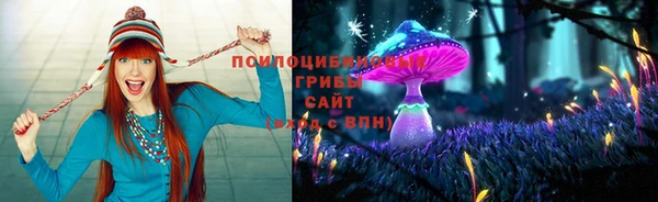 винт Белокуриха