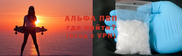 ПСИЛОЦИБИНОВЫЕ ГРИБЫ Беломорск