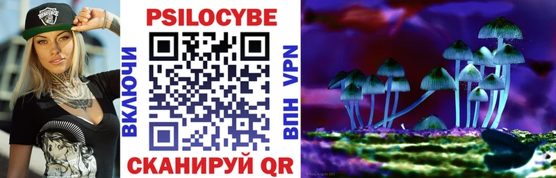 Купить где  Скопин  Псилоцибиновые грибы Psilocybe 