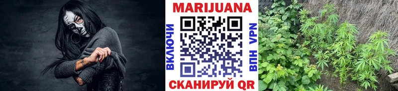 Купить где  Скопин  Каннабис MAZAR 